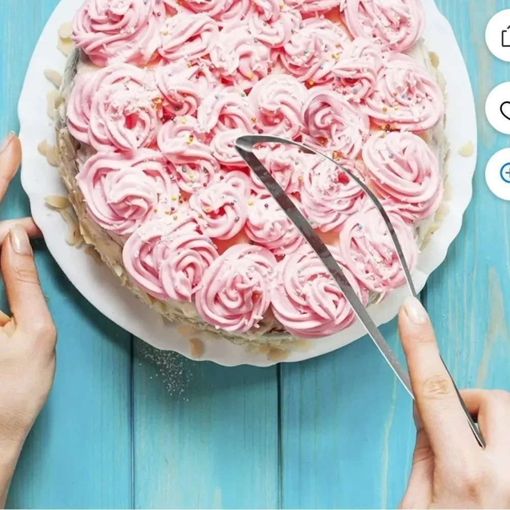 Orblue Professional Cake and Pie Stainless Steel Server!